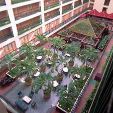 atrium_large.jpg (12868 bytes)